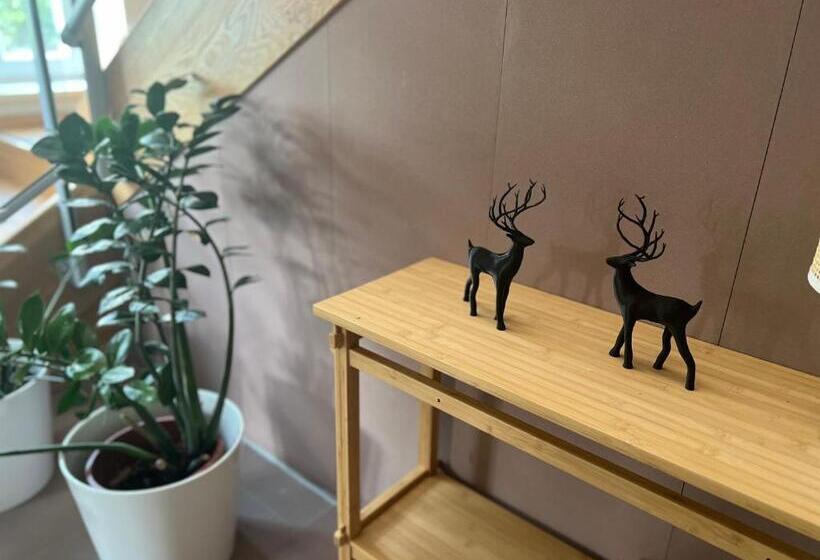 فندق Willa Marysin Bukowina Tatrzańska