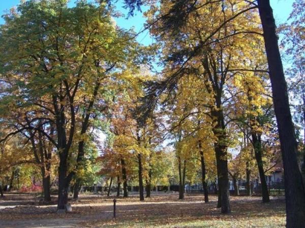 בית מלון כפרי Willa Park