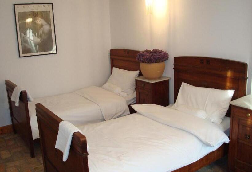 هتل Willa Viktoria