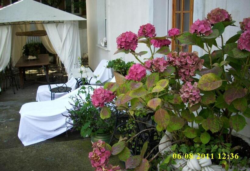 هتل Willa Viktoria