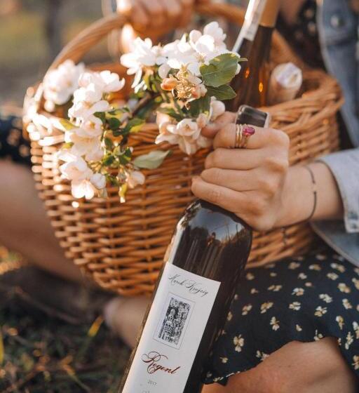 בית מלון כפרי Winny Dworek