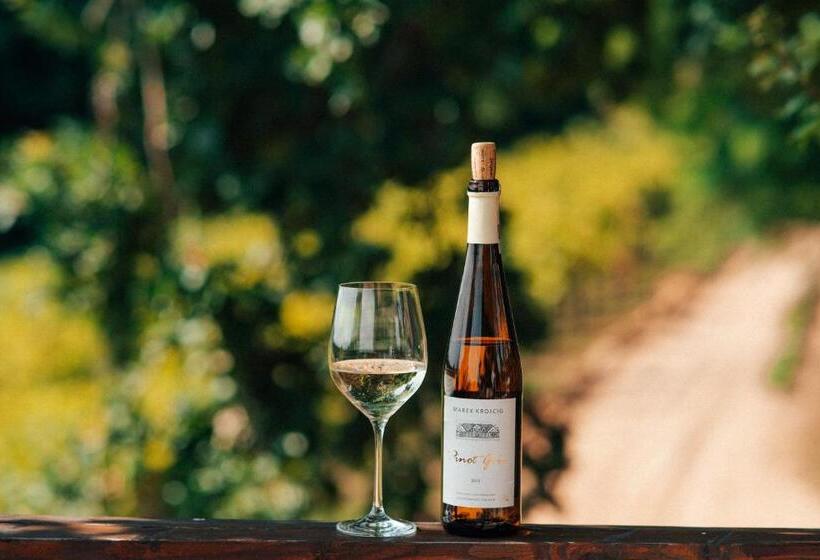 בית מלון כפרי Winny Dworek