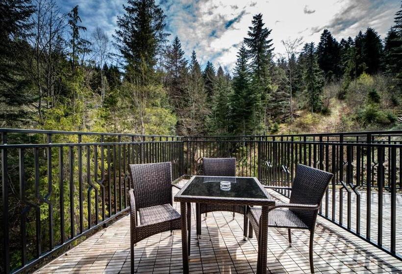 فندق żywiecki Medical Spa & Sport żywiec