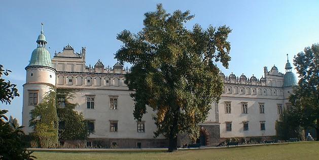 בית מלון כפרי Zamek W Baranowie Sandomierskim