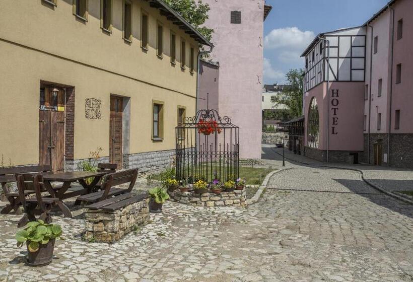 בית מלון כפרי Zamkowy Młyn