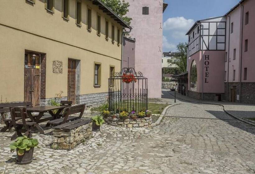 בית מלון כפרי Zamkowy Młyn