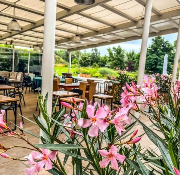 ホテル Zielona Weranda