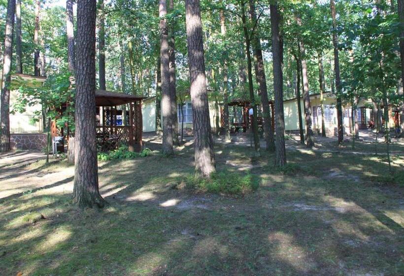 ホテル Zielony & Ow Borowik & Pensjonat Manhattan   Centrum Rekreacji I Wypoczynku Gastrotur