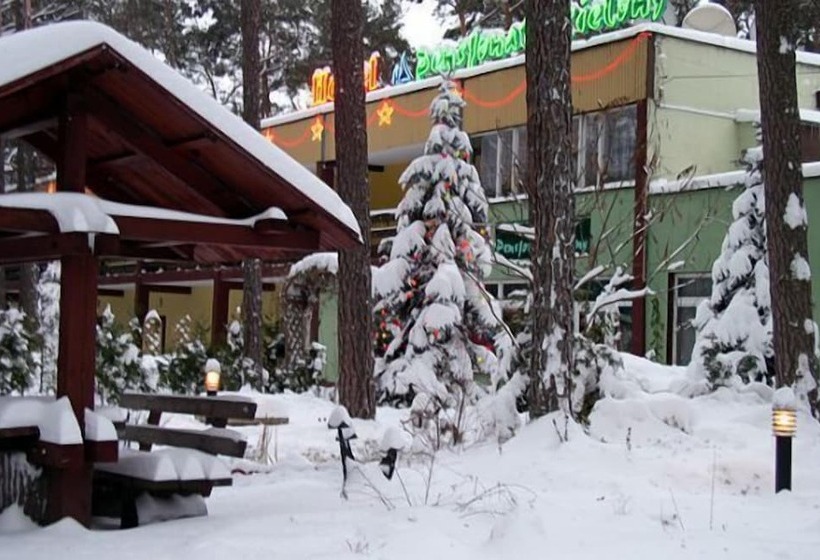 ホテル Zielony & Ow Borowik & Pensjonat Manhattan   Centrum Rekreacji I Wypoczynku Gastrotur