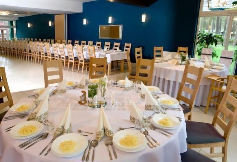 ホテル Zielony & Ow Borowik & Pensjonat Manhattan   Centrum Rekreacji I Wypoczynku Gastrotur