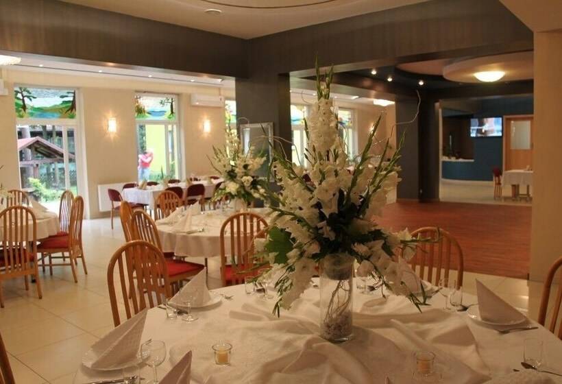 ホテル Zielony & Ow Borowik & Pensjonat Manhattan   Centrum Rekreacji I Wypoczynku Gastrotur