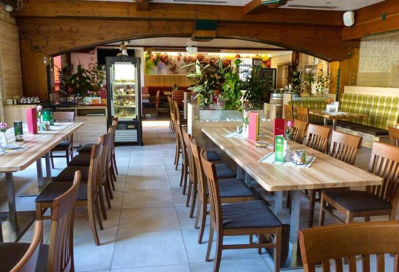 فندق Zum Schiffmeister