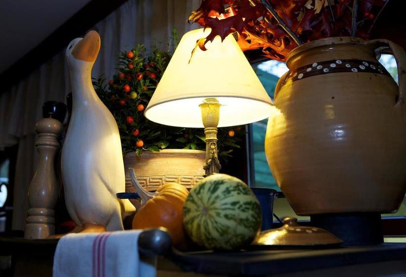 Nyerges Hotel Termál Superior