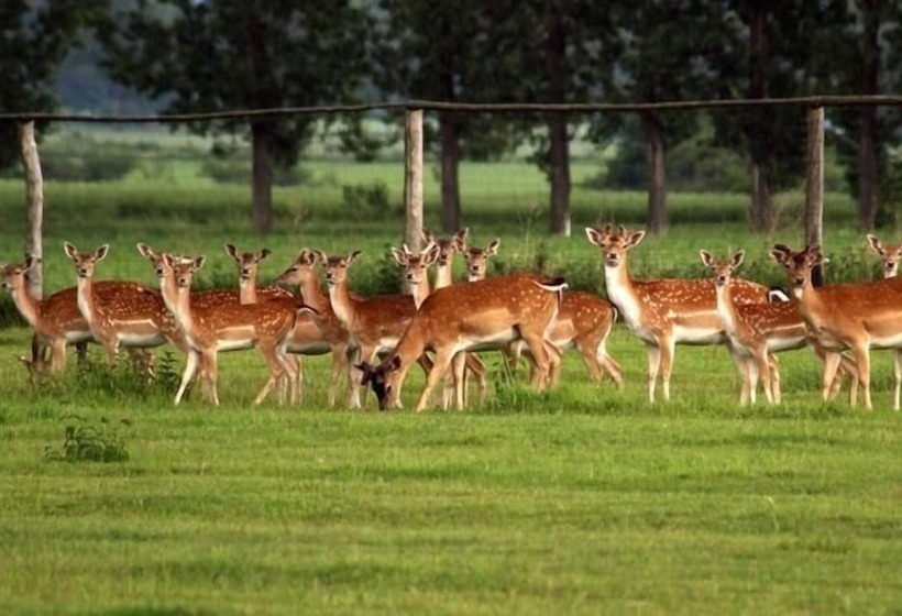 Palac Sulislaw Hotel & Spa