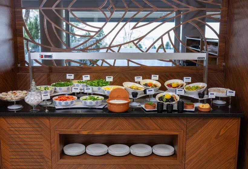 Отель Anemon Bursa