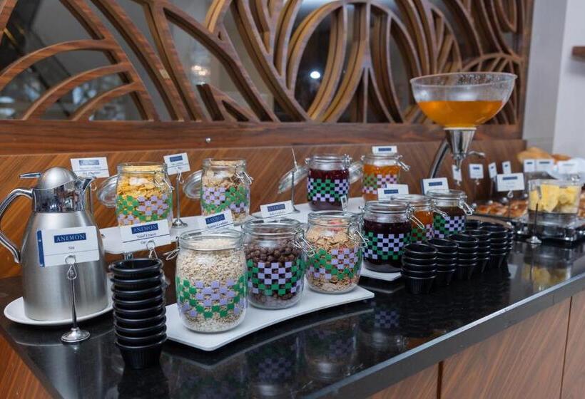 Отель Anemon Bursa