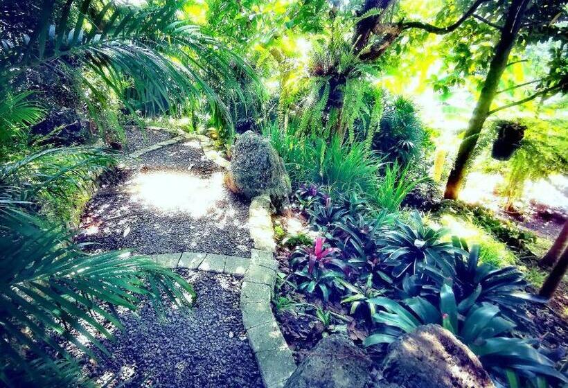 Bangnu Greenery Resort