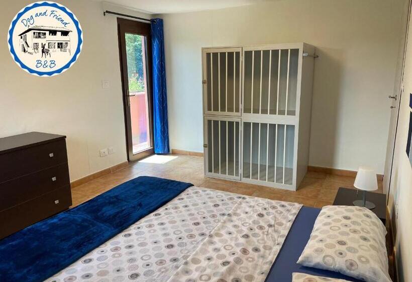 민박 Bnb Dog And Friend