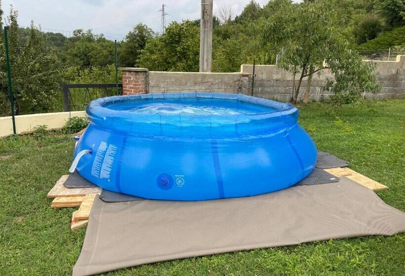 민박 Bnb Dog And Friend