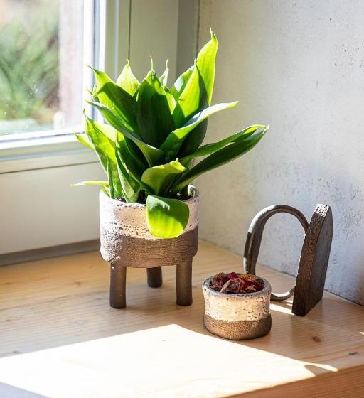 Bed and Breakfast La Fée Capucine Chambres Et Table D Hôtes Espace Bien être Et Massages