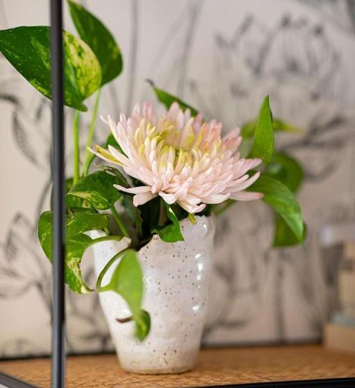 Bed and Breakfast La Fée Capucine Chambres Et Table D Hôtes Espace Bien être Et Massages