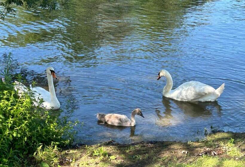 ベッドアンドブレックファースト Le Relais Du Bord De Seine
