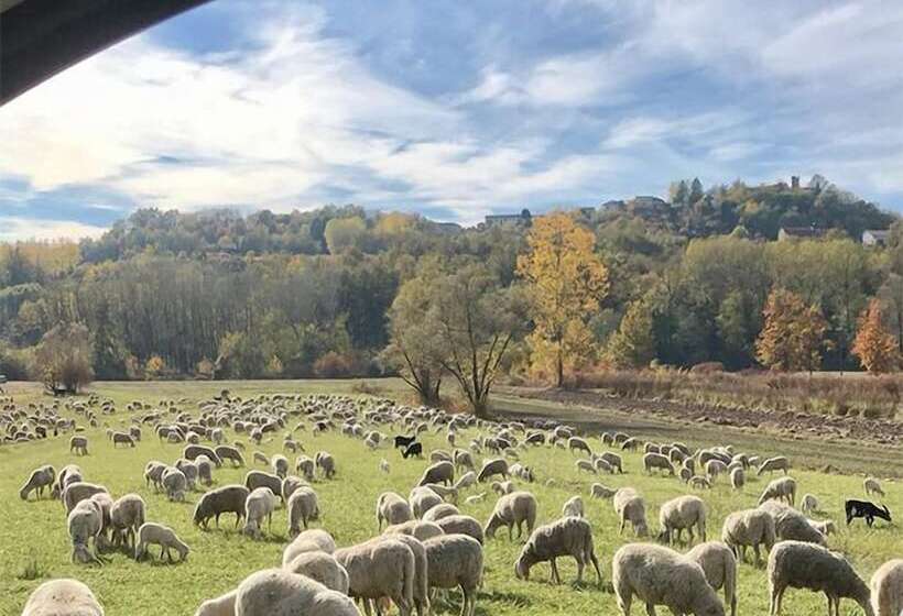 צימר Lusi è In Collina