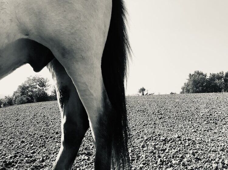 צימר Lusi è In Collina