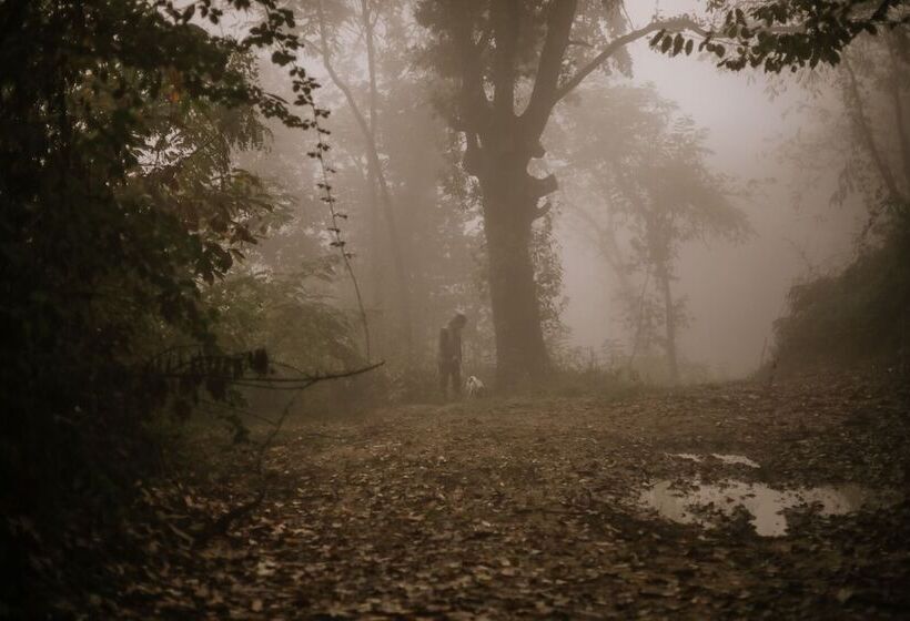 צימר Lusi è In Collina