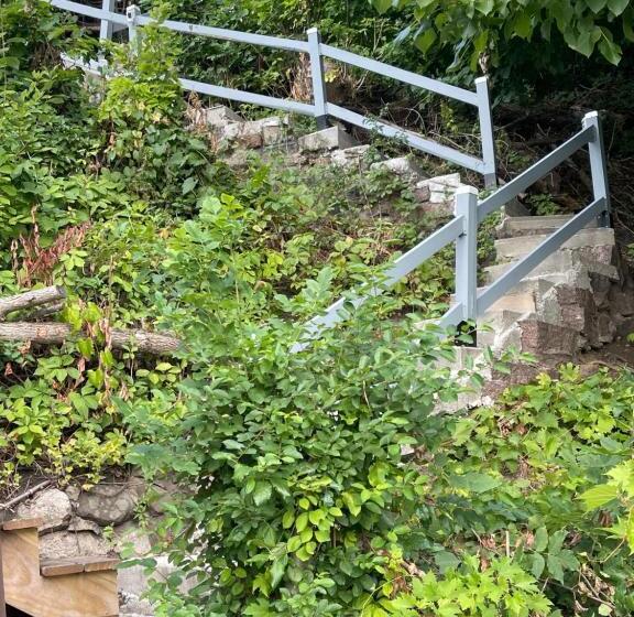 Bed and Breakfast The Brower House