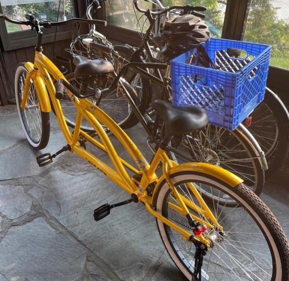 Bed and Breakfast The Brower House