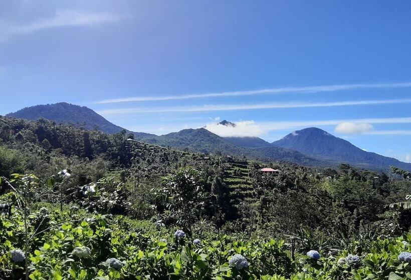 בית מלון כפרי Camaradvipa Retreat Munduk