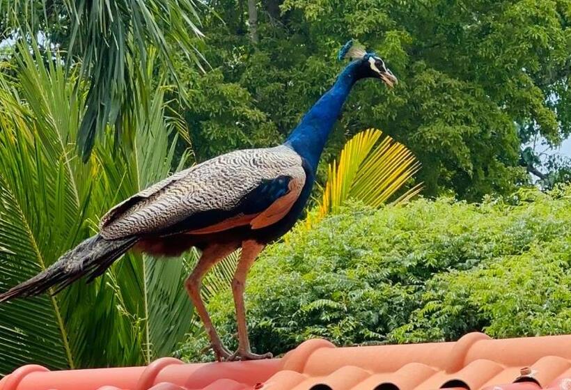 호텔 Ceylon S House