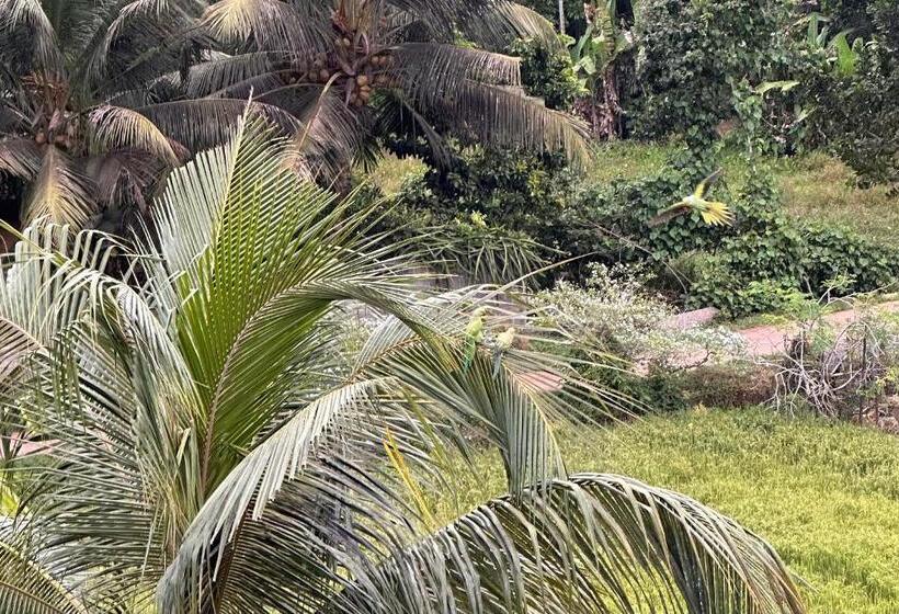 호텔 Ceylon S House