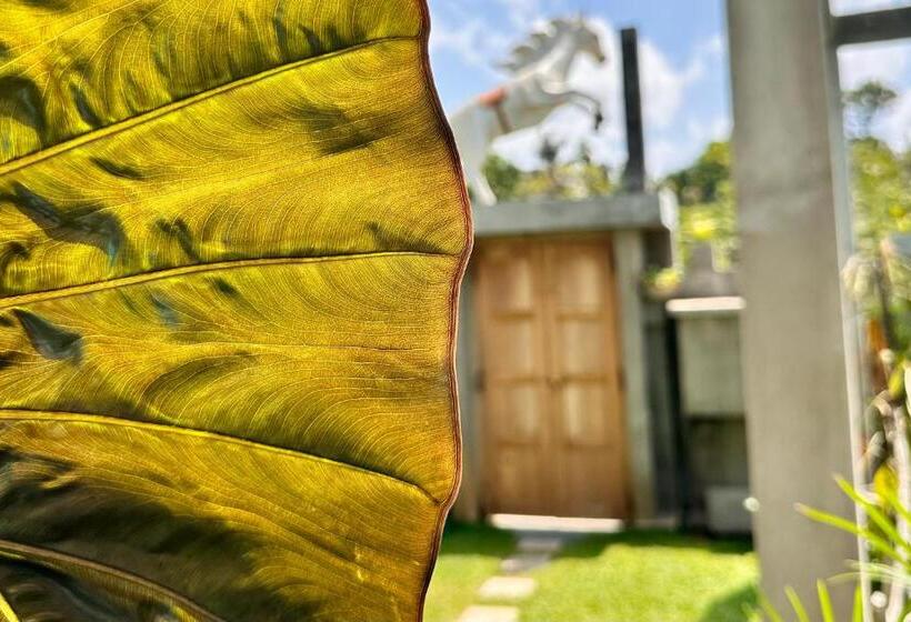 호텔 Ceylon S House