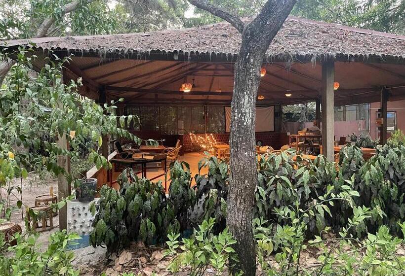 Hotel Dancing Dugong