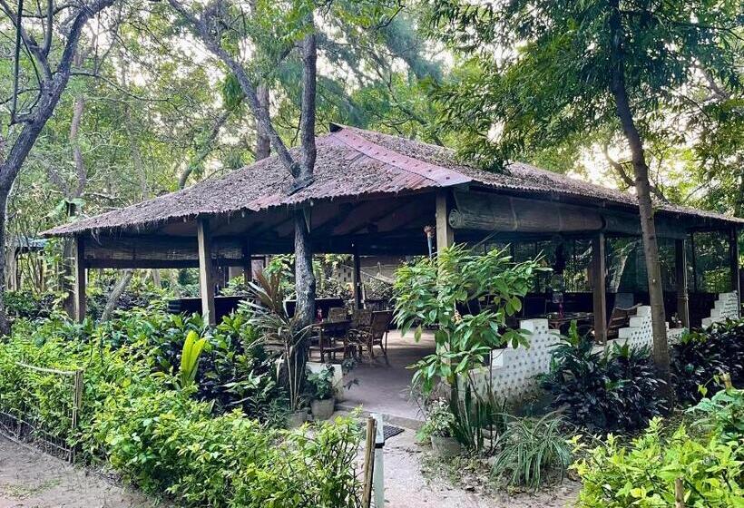Hotel Dancing Dugong