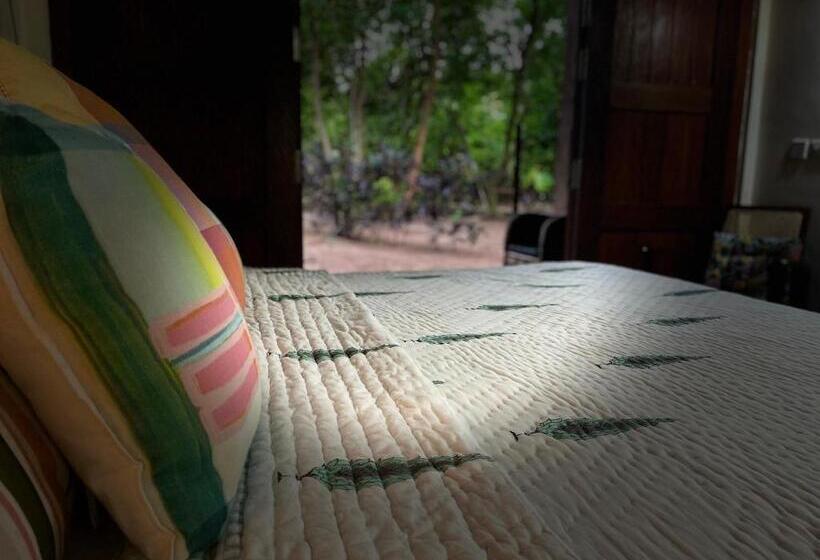 Hotel Dancing Dugong