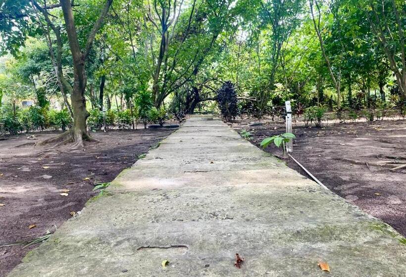 Hotel Dancing Dugong