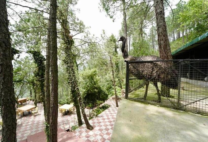 فندق Nature View Resort !! A Four Star Lavish & Luxury Resort