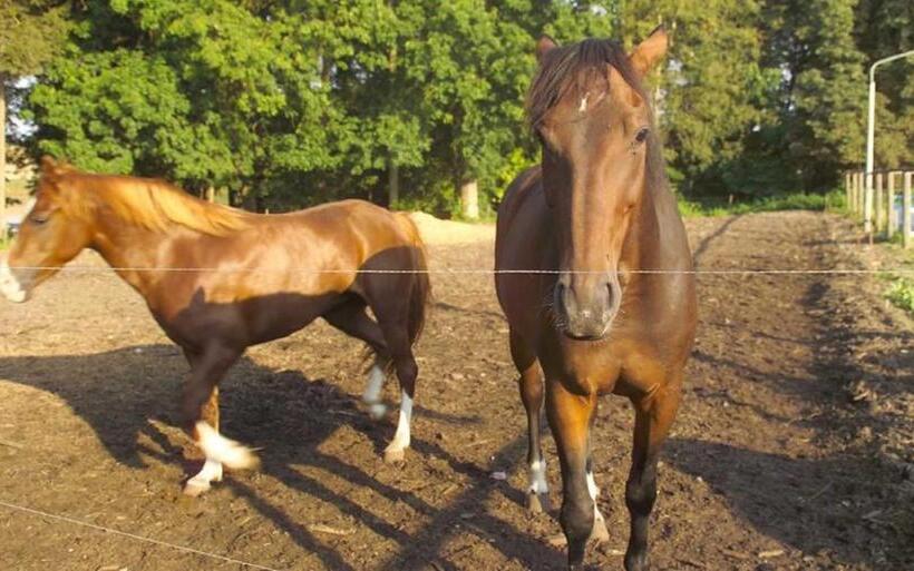 호텔 Ferien Am Schloss Duckwitz