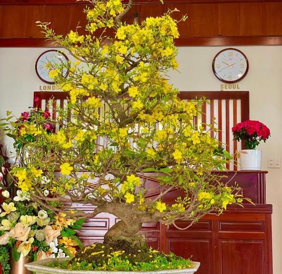 هتل Khách Sạn Khải Hoàn