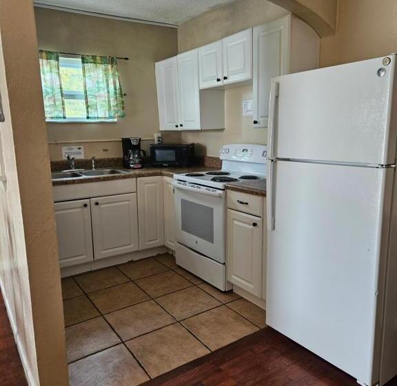 Отель Oasis Palms Resort