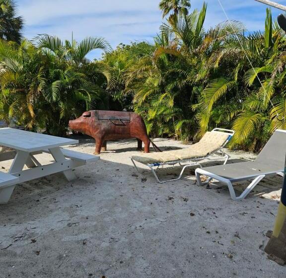 Отель Oasis Palms Resort