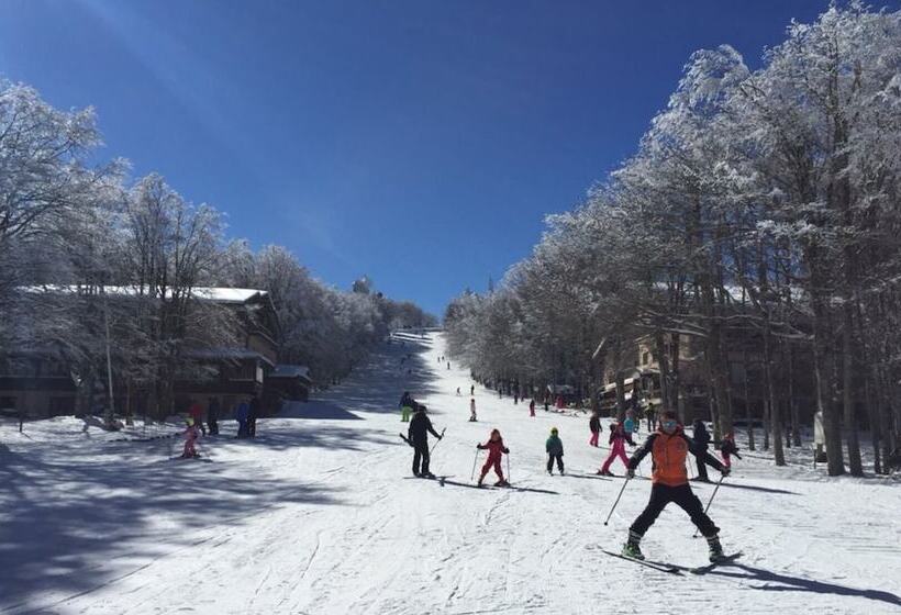 호텔 Parco Dei Faggi   Monte Amiata