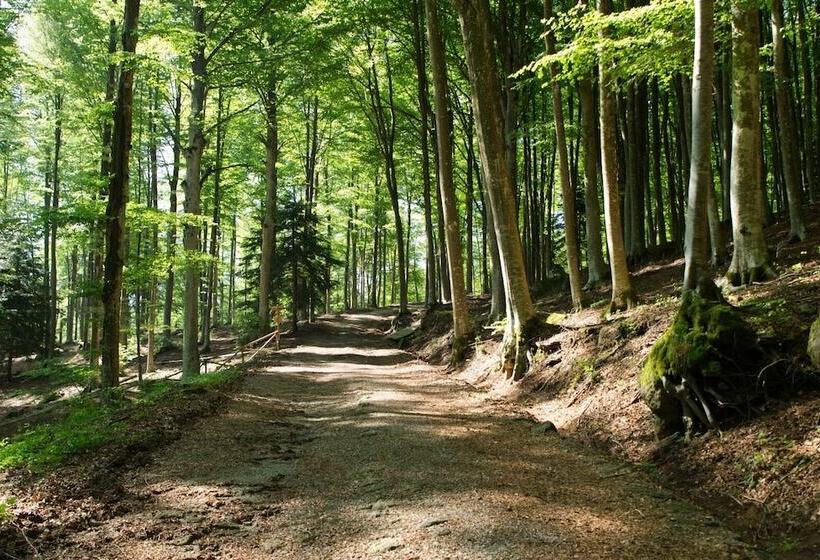 호텔 Parco Dei Faggi   Monte Amiata