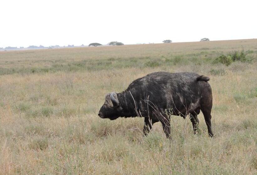 فندق Upendo Safari Lodge