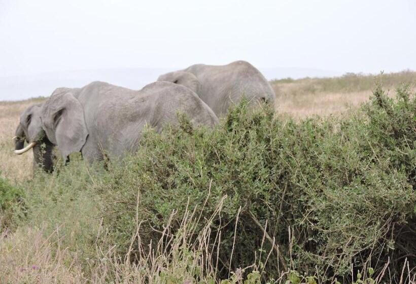 فندق Upendo Safari Lodge