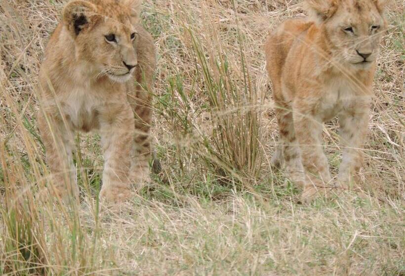 فندق Upendo Safari Lodge