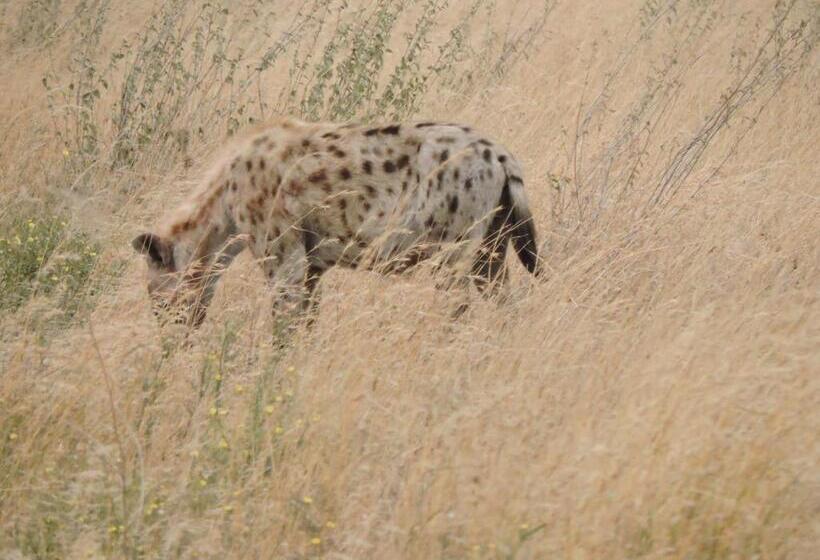 فندق Upendo Safari Lodge